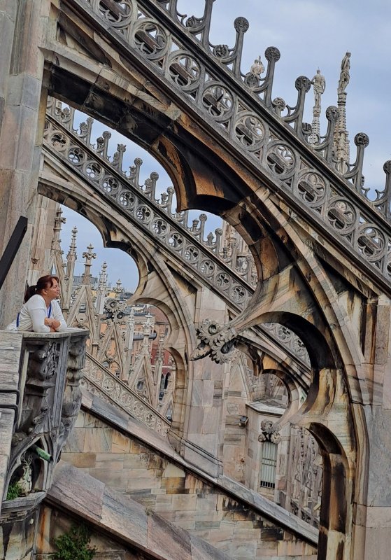 Italija, Milano, Duomo, krovovi